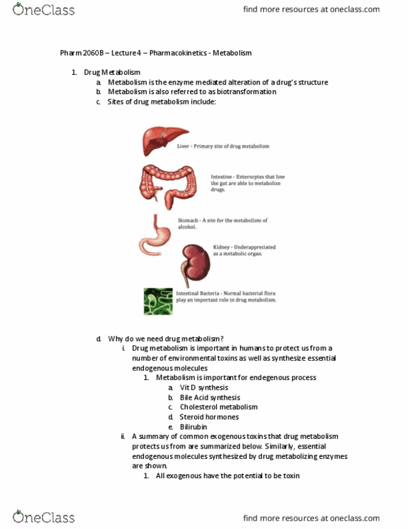 Pharmacology 2060A/B Lecture Notes - Lecture 4: Biotransformation, Bilirubin, Cholesterol thumbnail