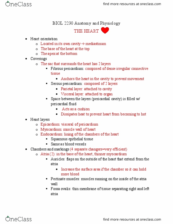 BIOL-2230 Lecture 2: BIOL 2230 Anatomy and Physiology heart thumbnail