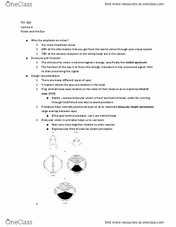 PSY 368 Lecture Notes - Lecture 4: Binocular Vision, Field Of View, The Blind Spot thumbnail