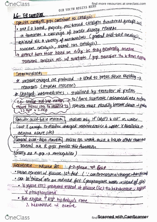 BCMB2002 Lecture 6: bcmb l6 and l7 thumbnail