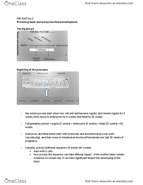 KINESIOL 3U03 Lecture 2: KIN 3U03 lec 2 thumbnail