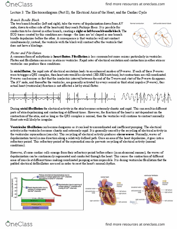 BIOC34H3 Lecture 3: Lecture 3 Notes thumbnail