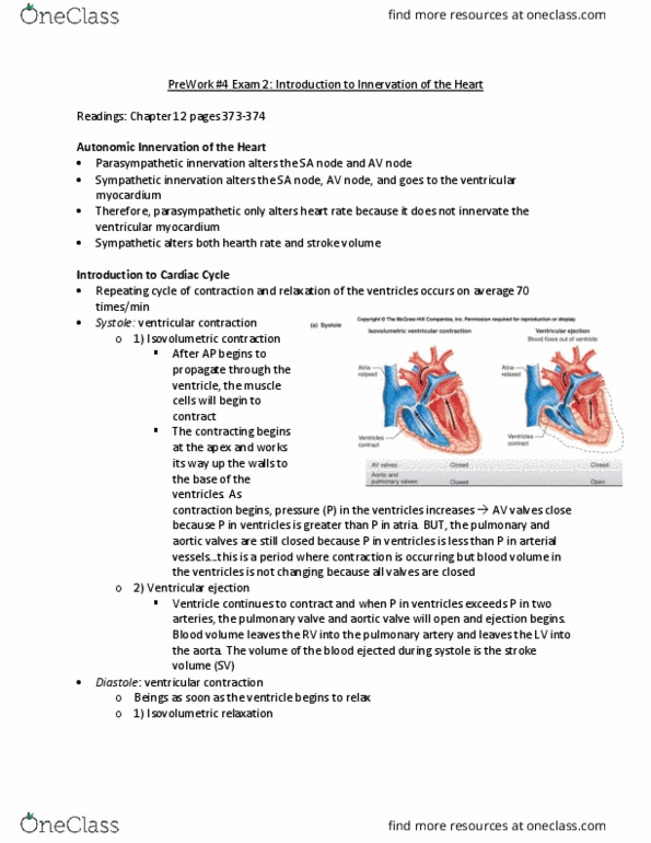 PHYSIOL 201 Chapter Notes - Chapter 10: Aortic Valve, Heart Valve, Pulmonary Artery thumbnail