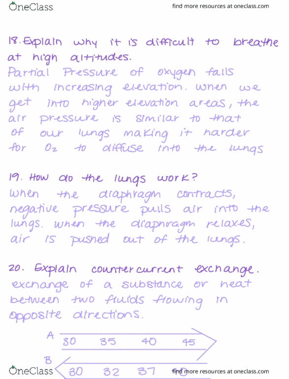 BIOL 150 Chapter Notes - Chapter 42: Countercurrent Exchange, Ionic Bonding, Capillary Pressure thumbnail