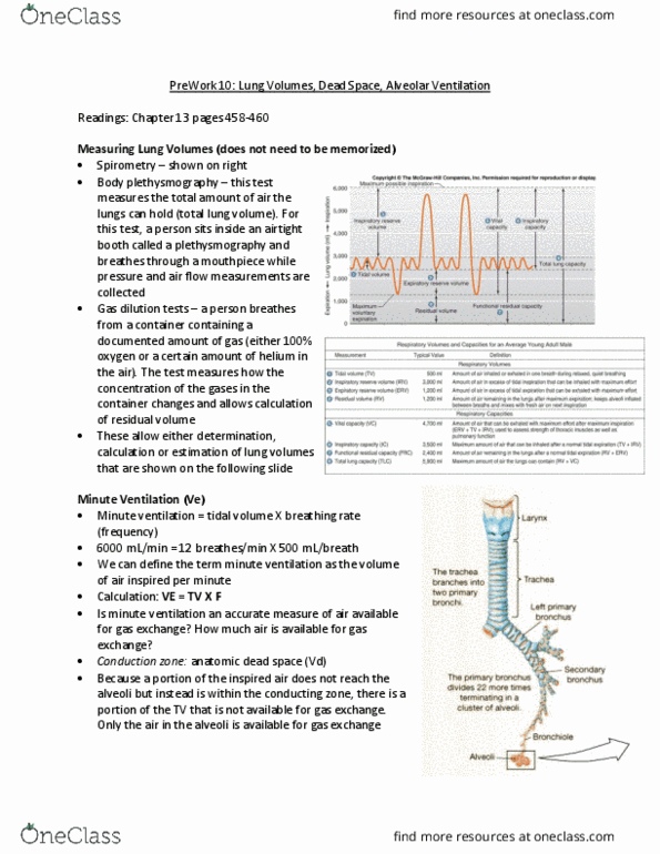 PHYSIOL 201 Chapter Notes - Chapter 17: Respiratory Minute Volume, Tidal Volume, Plethysmograph thumbnail