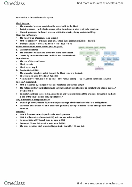 HBS101 Lecture Notes - Lecture 8: Mean Arterial Pressure, Hypotension, Vascular Resistance thumbnail