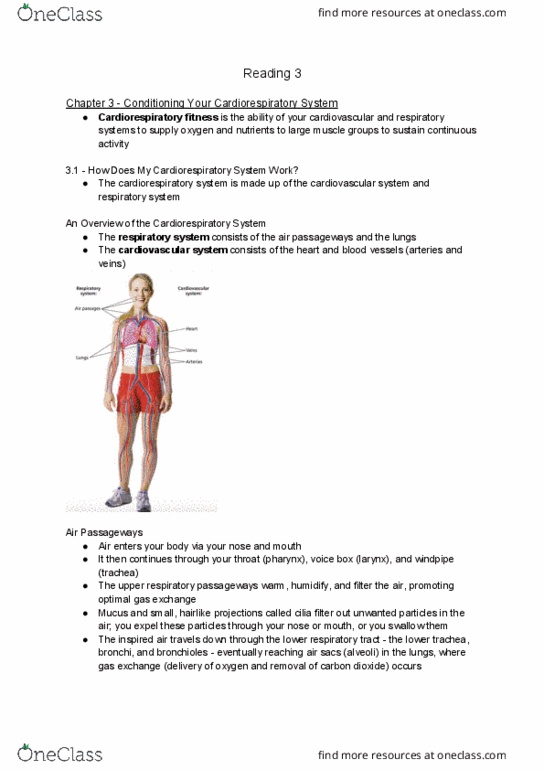 Kinesiology 2000A/B Chapter Notes - Chapter 3: Cardiorespiratory Fitness, Circulatory System, Trachea thumbnail