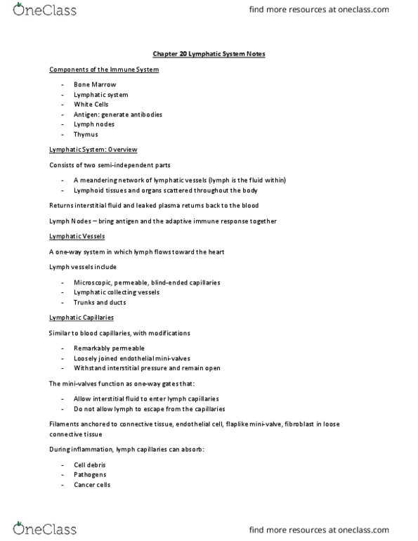 PHED-2507EL Lecture Notes - Lecture 4: Loose Connective Tissue, Adaptive Immune System, Lymphatic System thumbnail