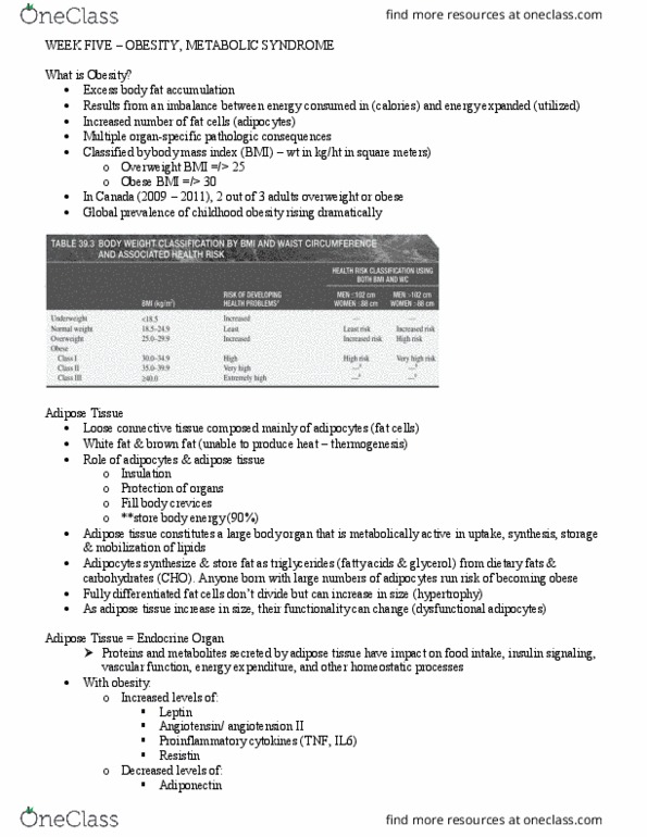 PAT 20A/B Lecture Notes - Lecture 1: Loose Connective Tissue, Childhood Obesity, Adipocyte thumbnail