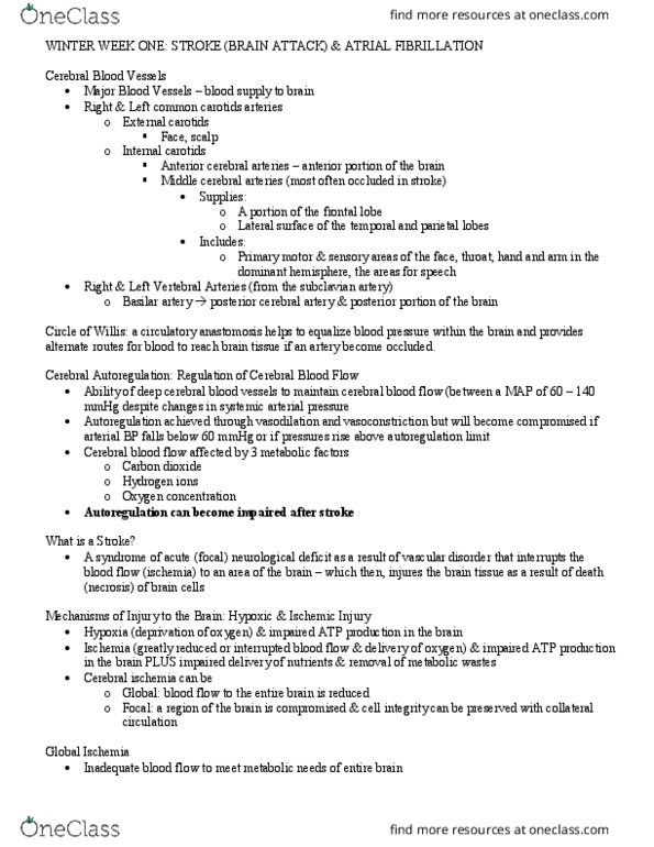 PAT 20A/B Lecture Notes - Lecture 1: Posterior Cerebral Artery, Middle Cerebral Artery, Cerebral Circulation thumbnail