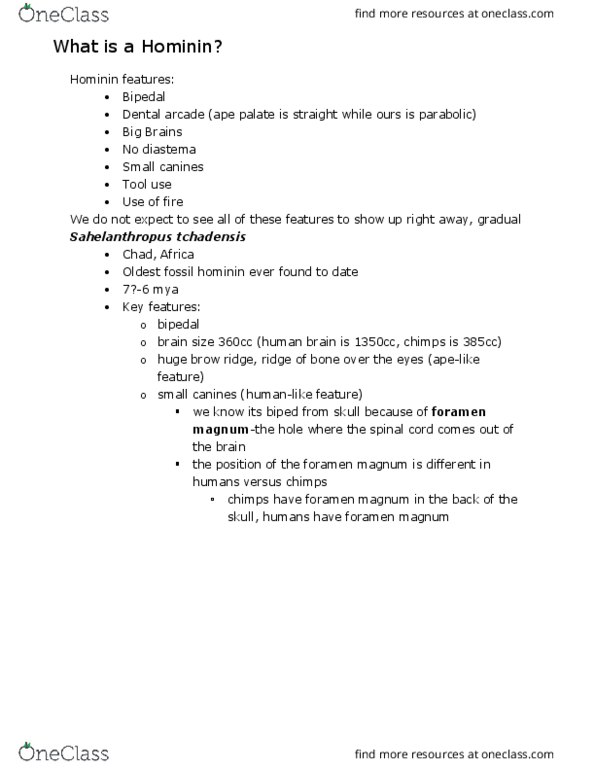 L48 Anthro 150A Lecture Notes - Lecture 28: Foramen Magnum, Sahelanthropus, Diastema thumbnail