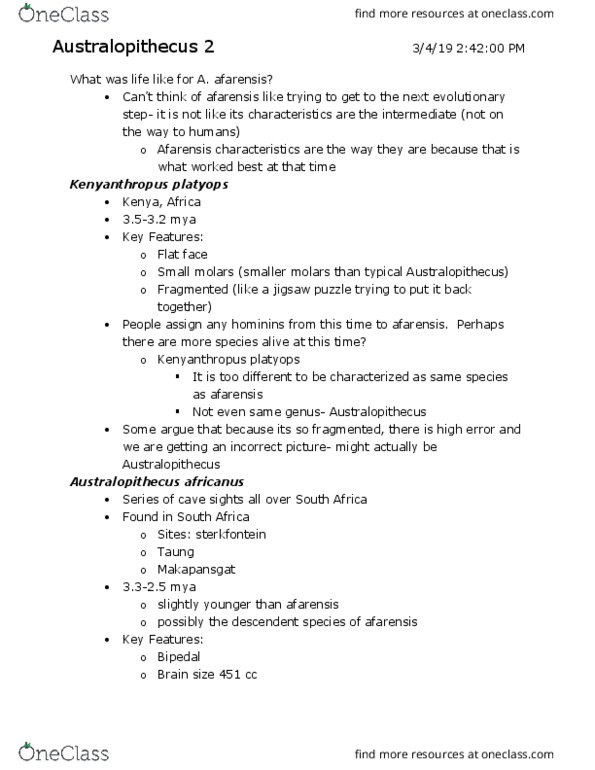 L48 Anthro 150A Lecture Notes - Lecture 30: Kenyanthropus, Jigsaw Puzzle, Australopithecus Afarensis thumbnail