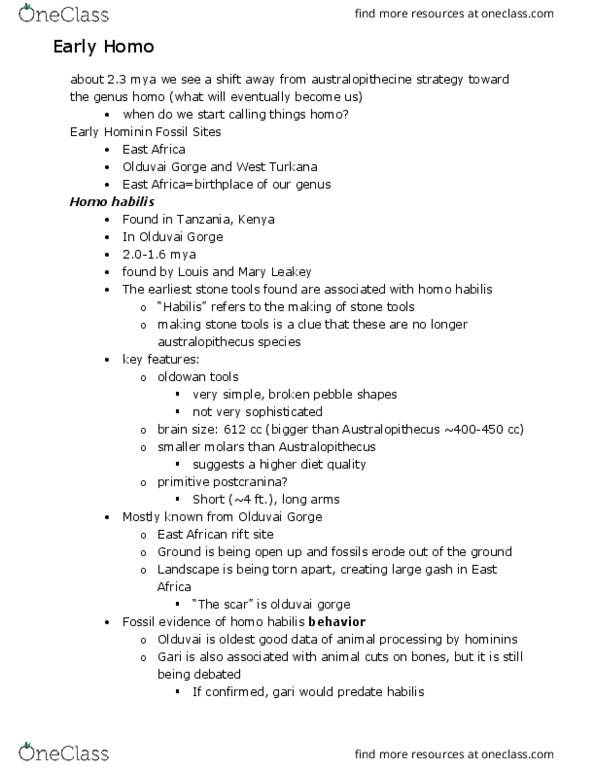 L48 Anthro 150A Lecture Notes - Lecture 27: Olduvai Gorge, Homo Habilis, East African Rift thumbnail