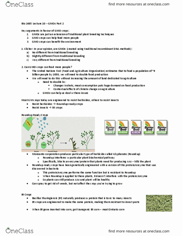 Biology 2485B Lecture Notes - Lecture 10: Genetically Modified Crops, Genetically Modified Maize, Plant Breeding thumbnail