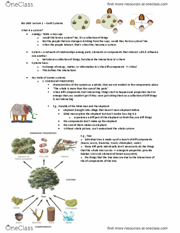 Biology 2485B Lecture Notes - Lecture 1: Emergence, Chloroplast, Systems Theory thumbnail