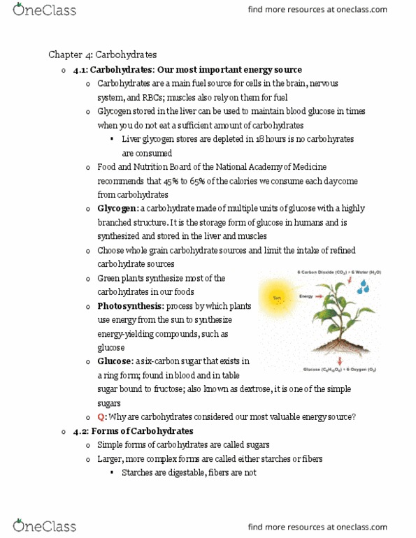 NUR250 Chapter Notes - Chapter 4: Refined Grains, Monosaccharide, Blood Sugar thumbnail