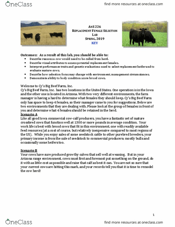 AN S 226 Lecture Notes - Lecture 10: Weaning, Udder, Obstructed Labour thumbnail
