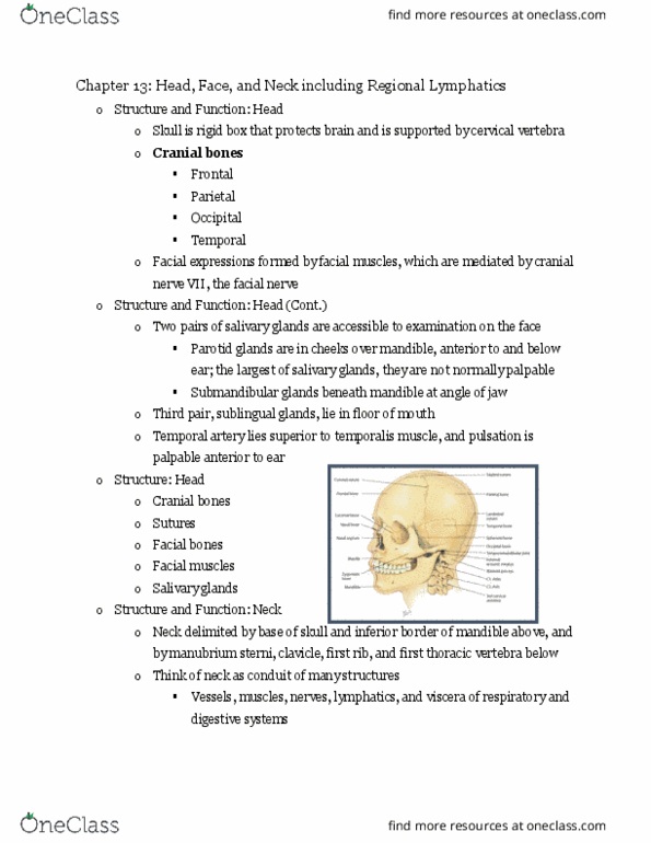 NUR332 Lecture Notes - Lecture 9: Sternum, Facial Nerve, Parotid Gland thumbnail