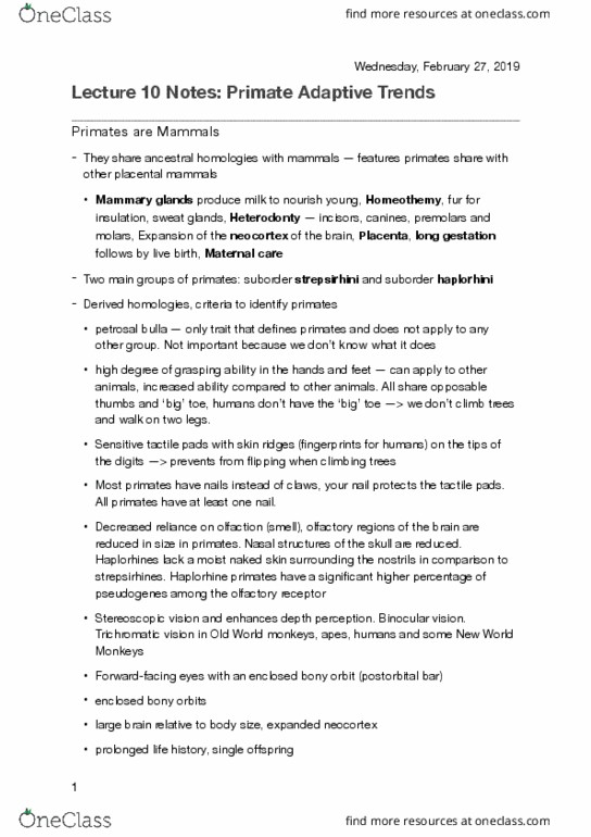 ANTH 1001 Lecture Notes - Lecture 10: Postorbital Bar, Trichromacy, Binocular Vision thumbnail