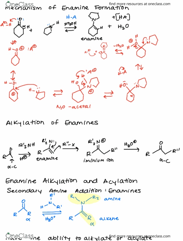 CHEM 342 Chapter Notes - Chapter 19: Enamine, Alkylation, Acylation thumbnail
