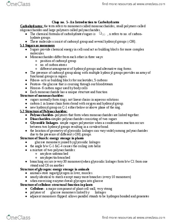 BLG 143 Lecture Notes - Phosphorylase, Peptidoglycan, Endergonic Reaction thumbnail