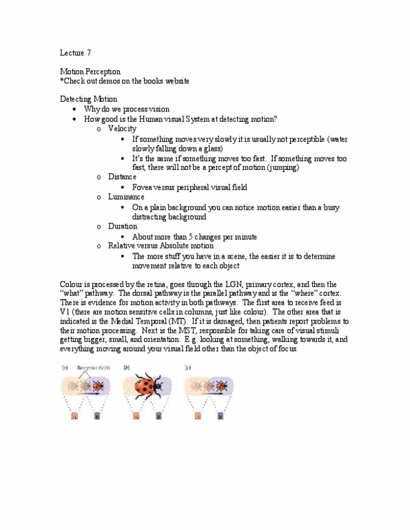 PSYC 2220 Lecture Notes - Magnocellular Cell, Motor System, Comparator thumbnail