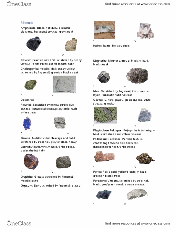 ERTH 2404 Lecture Notes - Gneiss, Chert, Amphibolite thumbnail