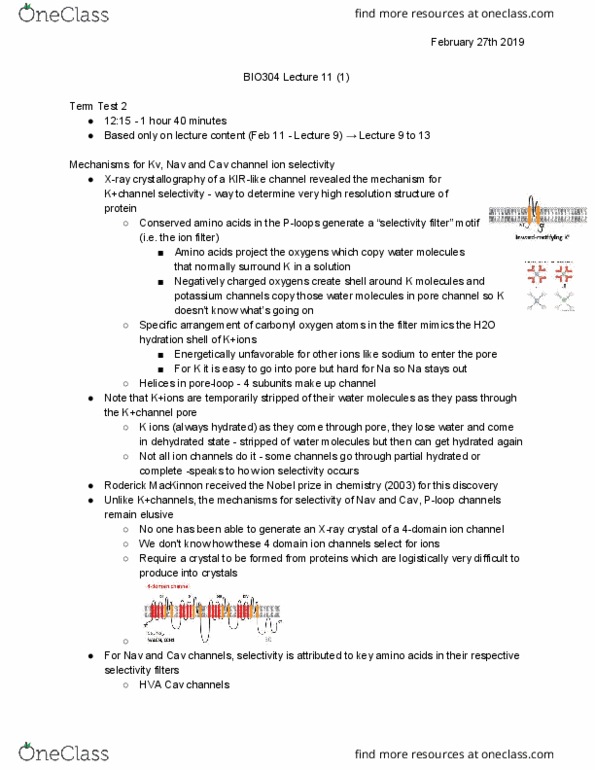 BIO304H5 Lecture Notes - Lecture 11: Roderick Mackinnon, X-Ray Crystallography, 40 Minutes thumbnail