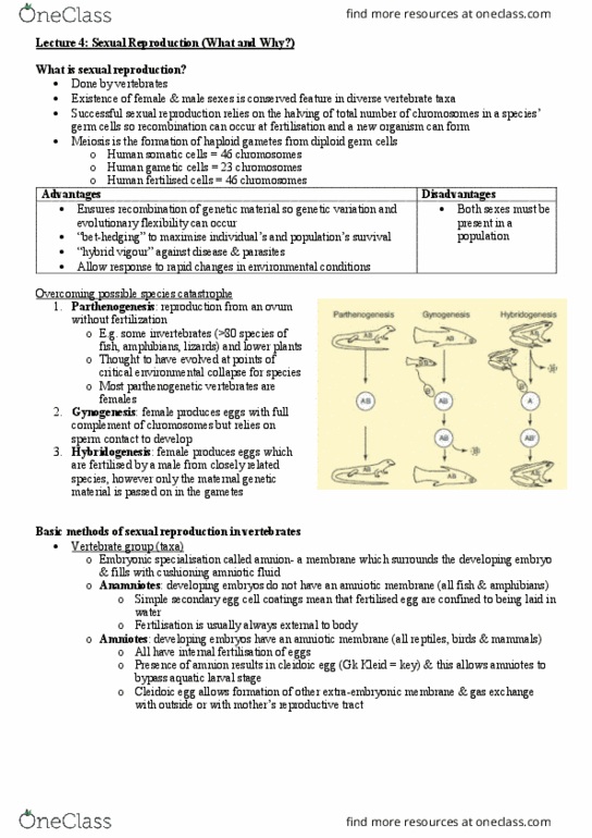 PHSI3010 Lecture Notes - Lecture 4: Heterosis, Amnion, Amniote thumbnail