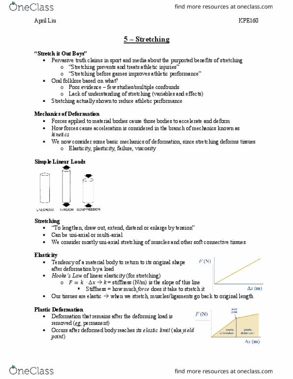 KPE160H1 Lecture Notes - Lecture 5: Linear Elasticity, Sciatic Nerve, Stretching thumbnail
