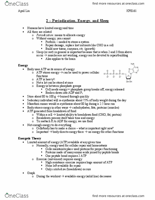 KPE161H1 Lecture Notes - Lecture 2: Catabolism, Homeostasis, Only Time thumbnail