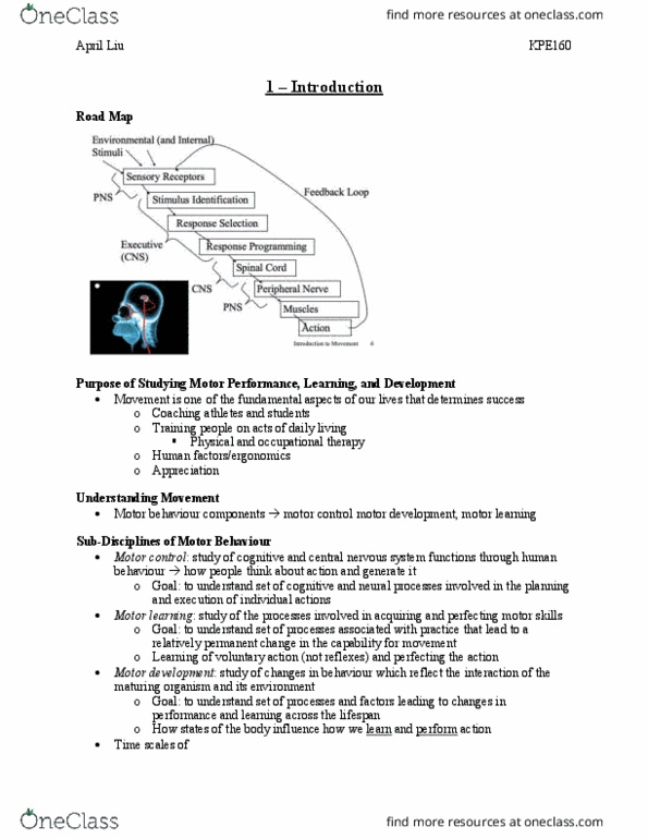 KPE160H1 Lecture Notes - Lecture 1: Motor Learning, Motor Skill, Motor Control thumbnail