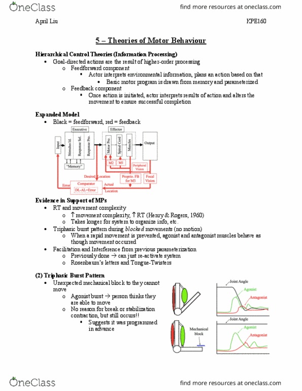 KPE160H1 Lecture Notes - Lecture 5: Motor Program, Agonist, Affordance thumbnail