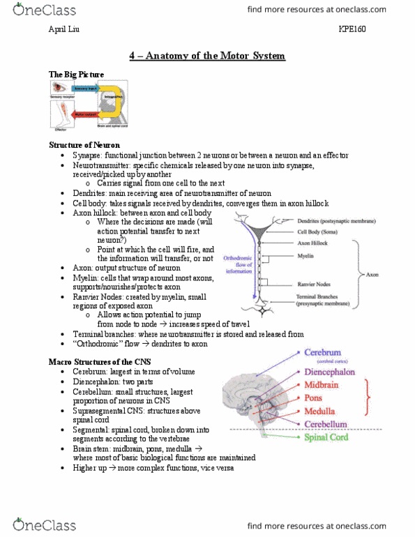 document preview image