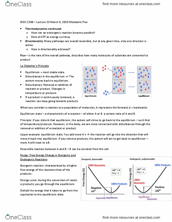 BIOC 2300 Lecture Notes - Lecture 19: Endergonic Reaction, Exergonic Reaction, Reversible Reaction thumbnail