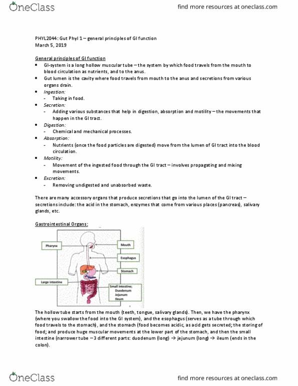 PHYL 2044 Lecture Notes - Lecture 1: Peristalsis, Geographic Information System, Jejunum thumbnail