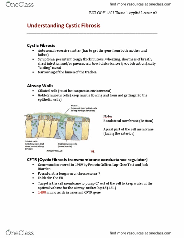 BIOLOGY 1A03 Lecture Notes - Lecture 4: Cystic Fibrosis, Francis Collins, Trachea thumbnail