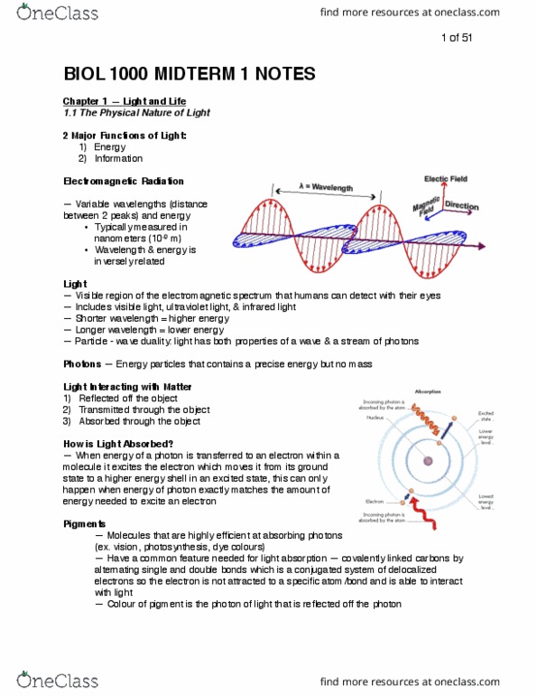 BIOL 1000 Lecture Notes - Lecture 1: Melanin, Chemotroph, Plastoquinone thumbnail