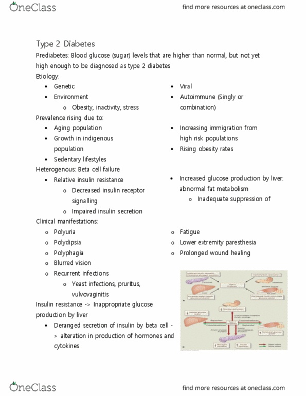 PAT 20A/B Lecture Notes - Lecture 7: Vaginitis, Insulin Resistance, Insulin Receptor thumbnail