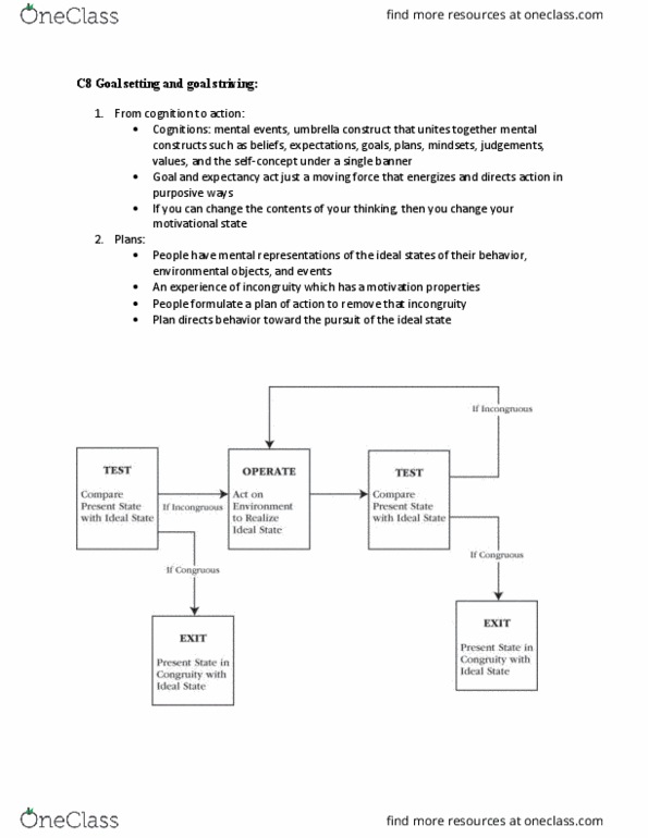 PSYC 389 Chapter Notes - Chapter 8: Goal Setting, Cognitive Flexibility, Foal thumbnail