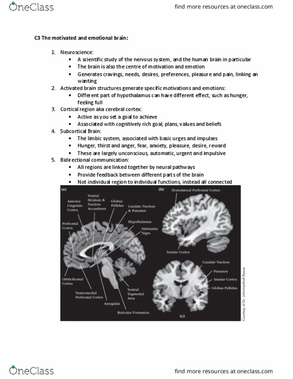 PSYC 389 Chapter Notes - Chapter 3: Cerebral Cortex, Limbic System, Brainstem thumbnail
