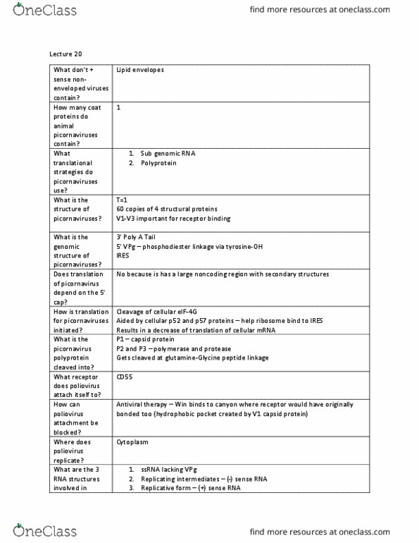 CSB351Y1 Lecture Notes - Lecture 20: Picornavirus, Vpg, Decay-Accelerating Factor thumbnail