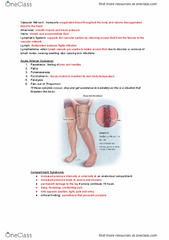 NURS 125 Lecture Notes - Lecture 12: Lymphedema, Paresthesia, Poikilotherm thumbnail