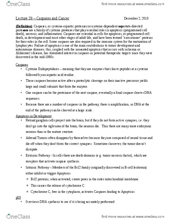 BIOL 3096 Chapter Notes -Stomach Cancer, Testicular Cancer, Metastasis thumbnail