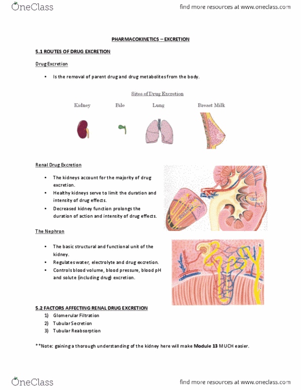 Pharmacology 2060A/B Lecture Notes - Hepatocyte, Amphiphile, Pediatrics thumbnail