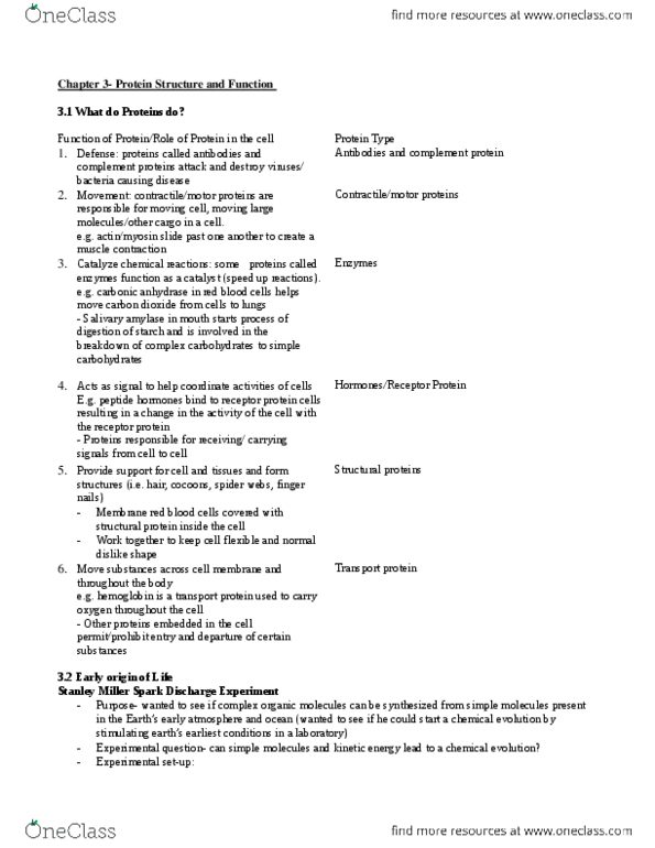 BIOLOGY 1A03 Chapter Notes - Chapter 3: Sulfide, Beta Sheet, Crystallization thumbnail