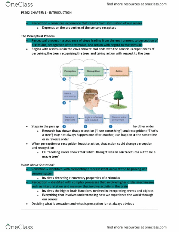 PS262 Chapter Notes - Chapter 1: Sensory Neuron, Sensory System, Occipital Lobe thumbnail