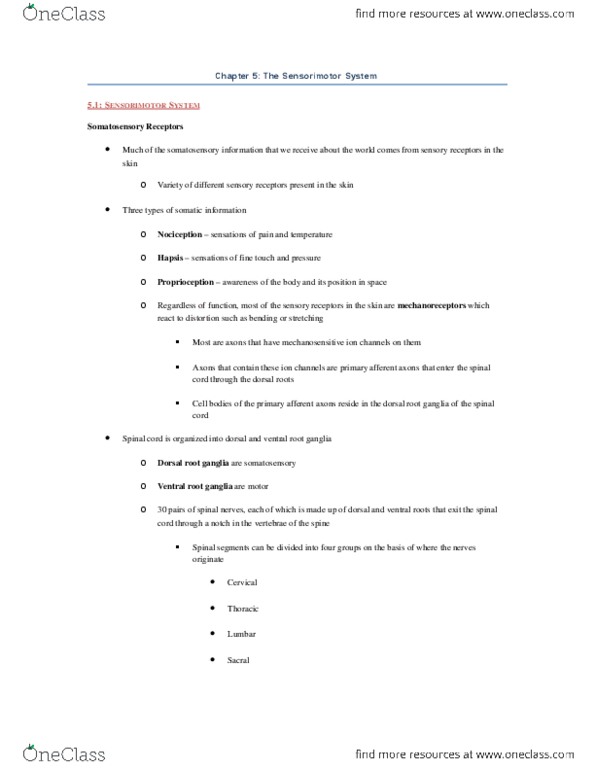 PSYB65H3 Chapter Notes - Chapter 5: Coprolalia, Thalamus, Palilalia thumbnail