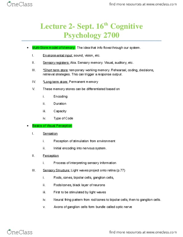 PSYC 2700 Lecture Notes - Arthropod Eye, Backward Masking, White Noise thumbnail