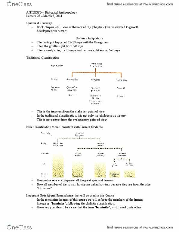 ANT203H5 Lecture Notes - Mosaic Evolution, Critical Role, Foramen thumbnail